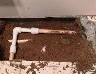 道县测漏水哪家好