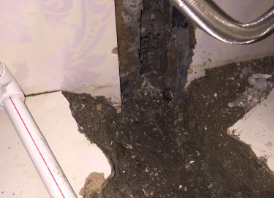 道县卫生间测漏水哪家好