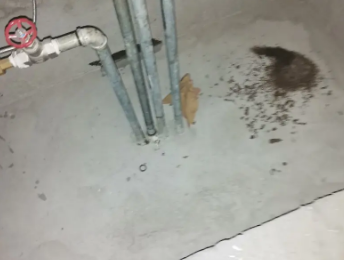 道县卫生间测漏水价格明细