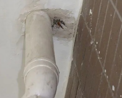 道县漏水检测哪家好